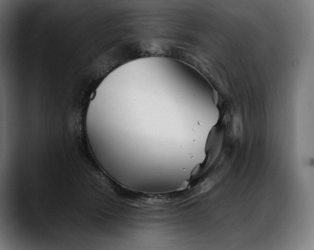 X0000088090466200705251432