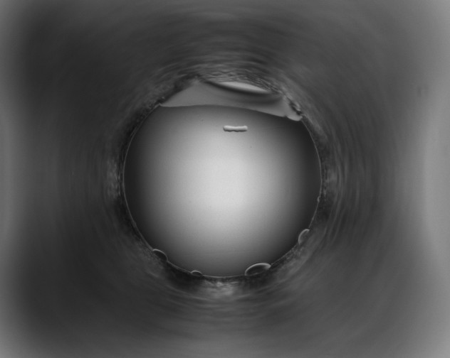 X0000088090469200705251432