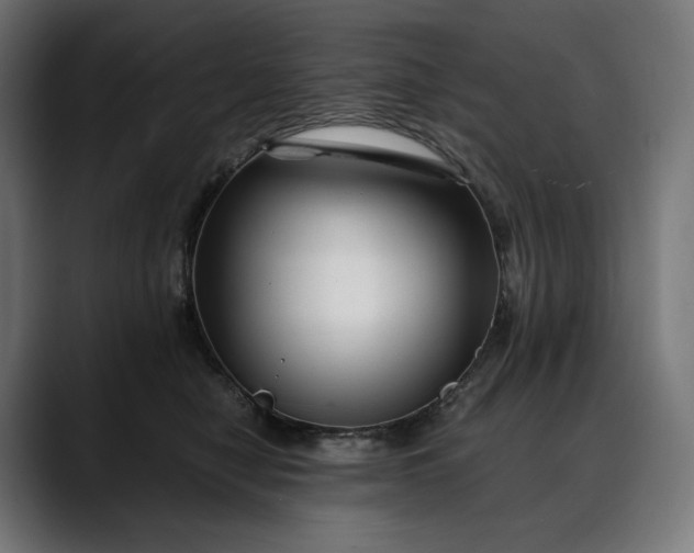 X0000088090470200705251432