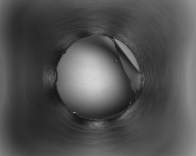 X0000088090479200705251433