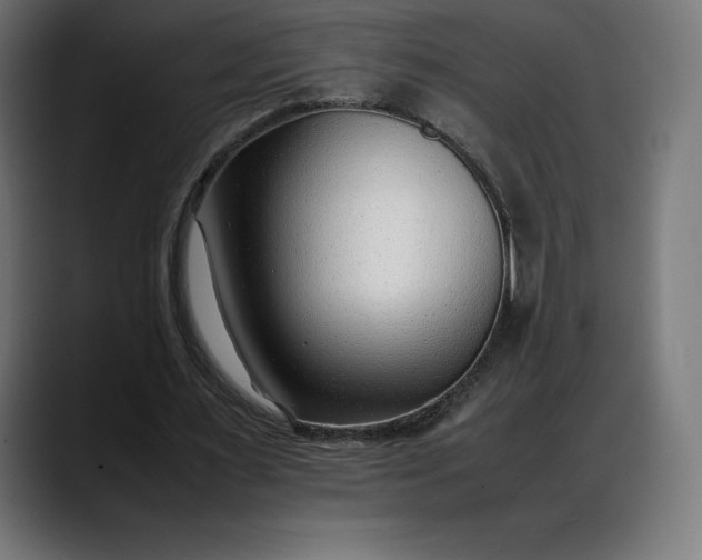 X0000088090483200705251432