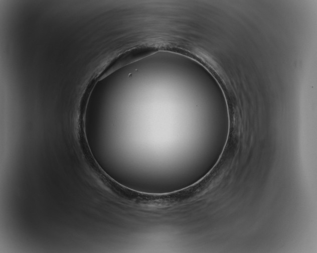 X0000088090485200705251432