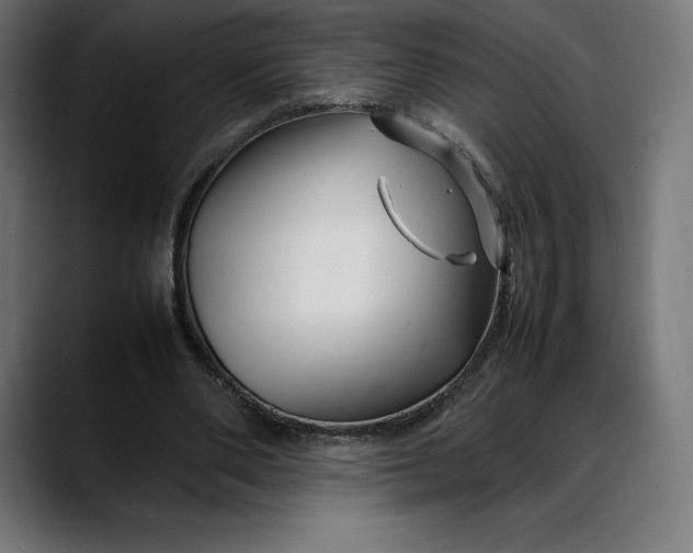 X0000088090486200705251432