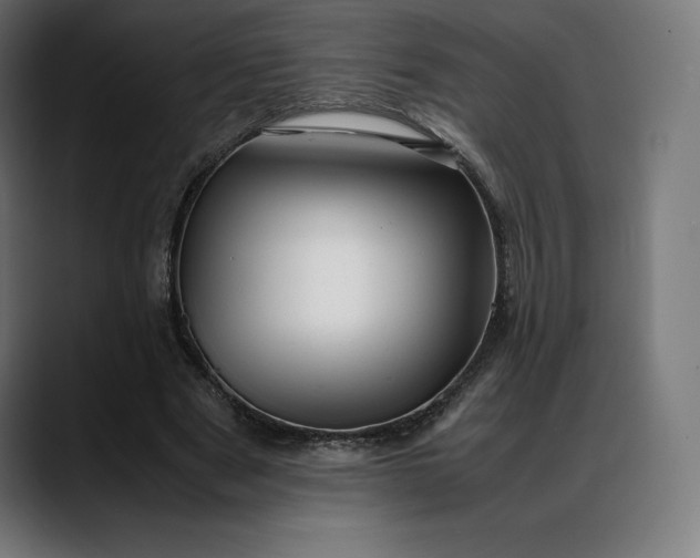 X0000088090489200705251432