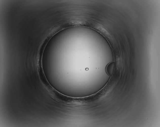 X0000088090490200705251432