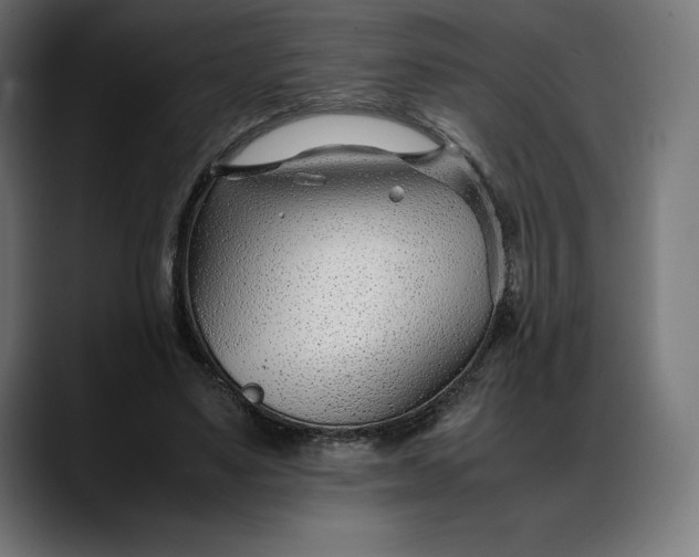 X0000088090491200705251432