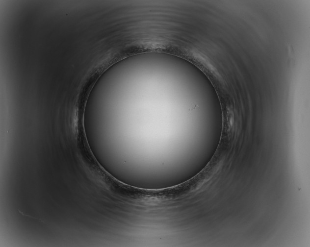 X0000088090494200705251432