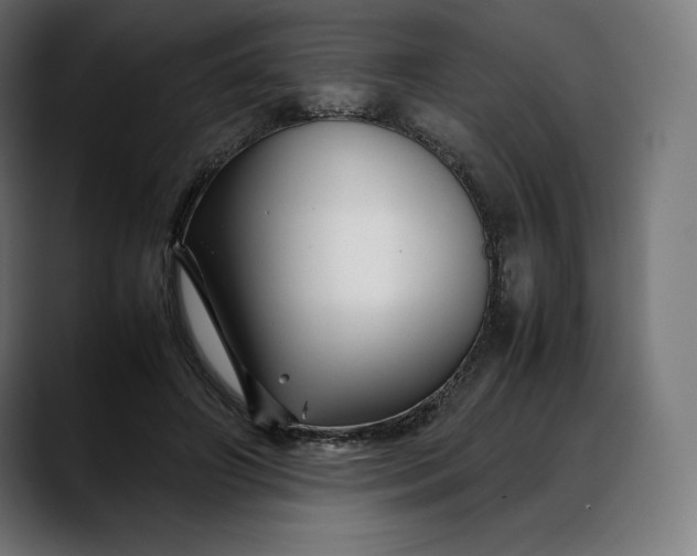 X0000088090498200705251432