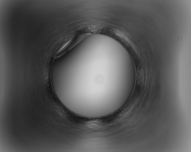 X0000088090505200705251432