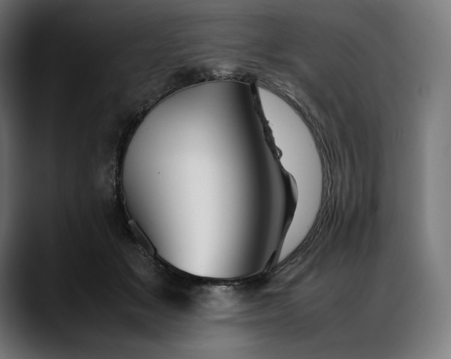 X0000088090509200705251432