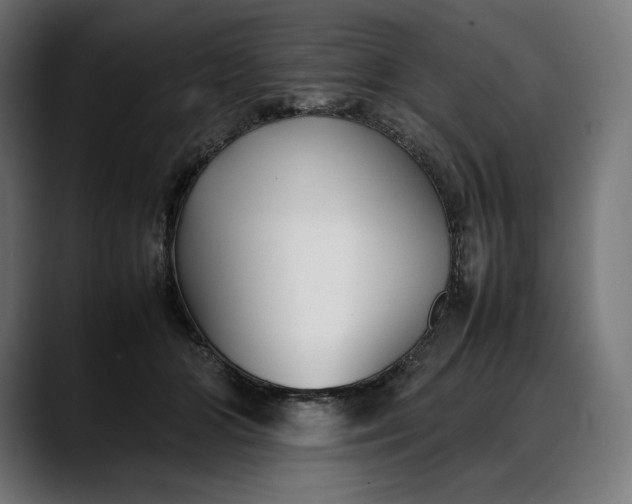 X0000088090510200705251432