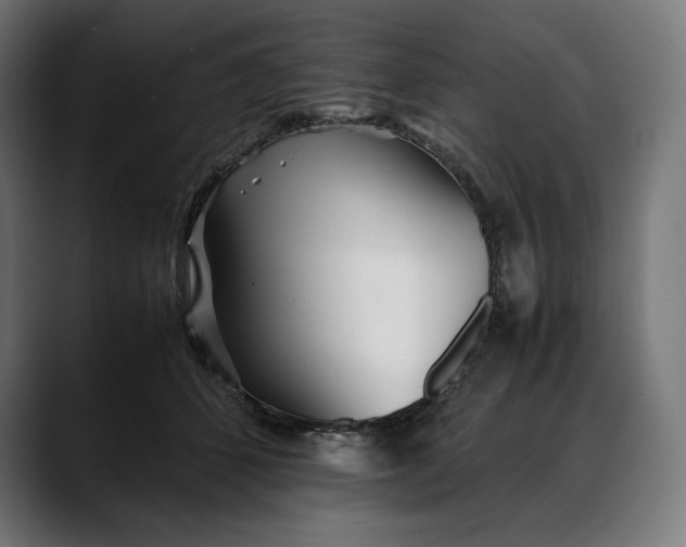 X0000088090512200705251432