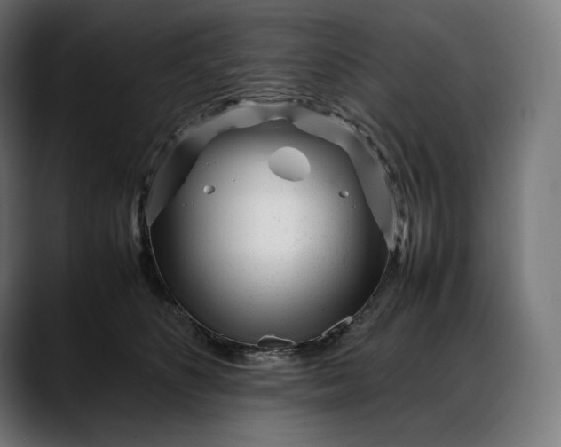 X0000088090516200705251432