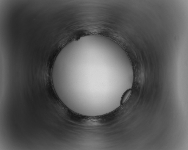 X0000088090518200705251431