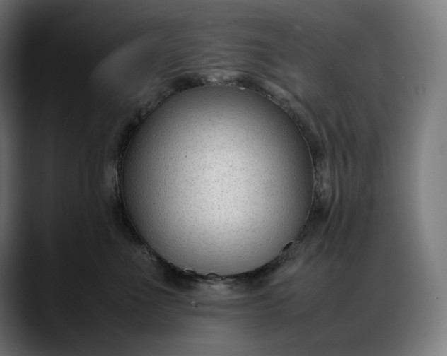 X0000088090523200705251431