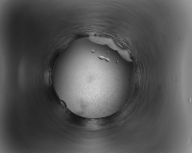 X0000088090527200705251431