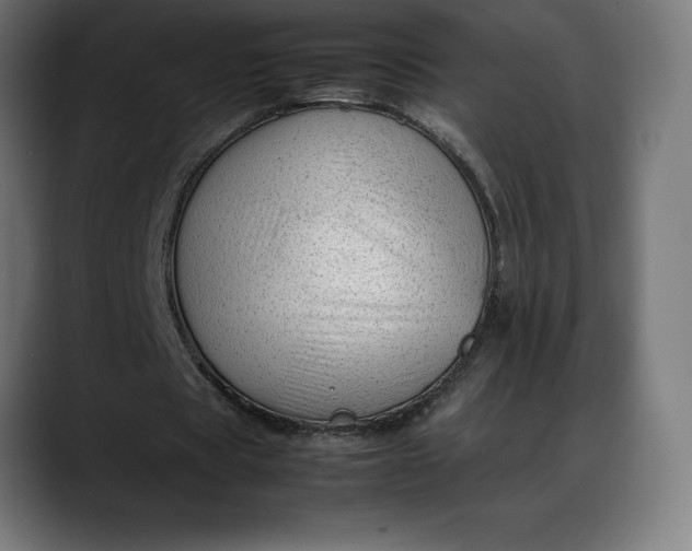 X0000088090529200705251431