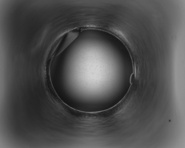 X0000088090531200705251431