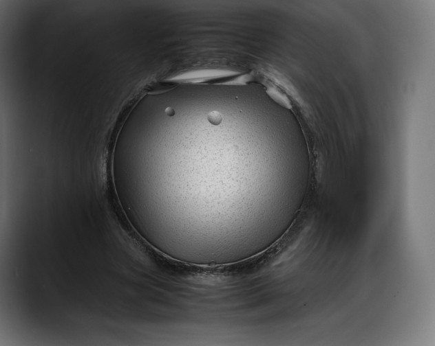 X0000088090537200705251431