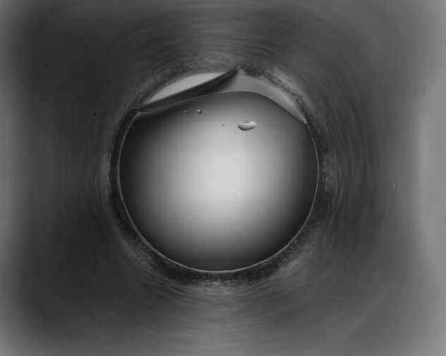 X0000088090538200705251431