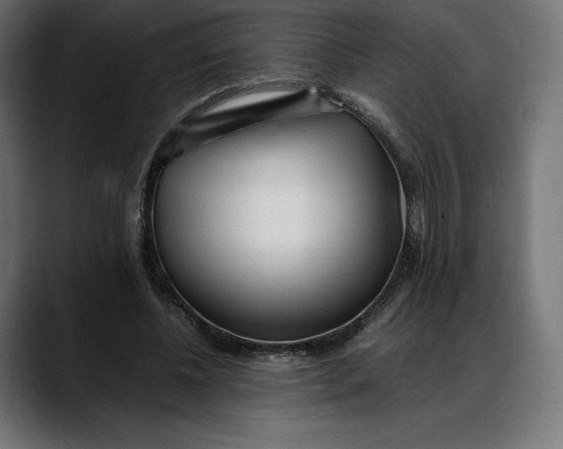 X0000088090540200705251431