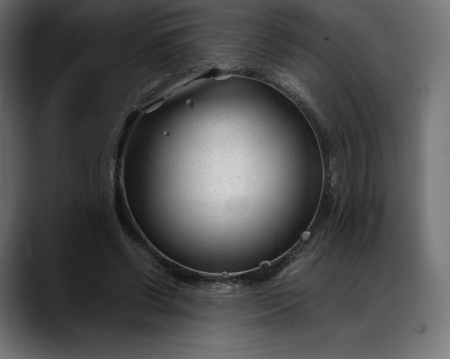 X0000088090542200705251431