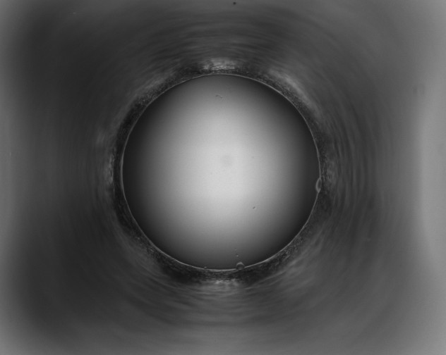 X0000088090543200705251431