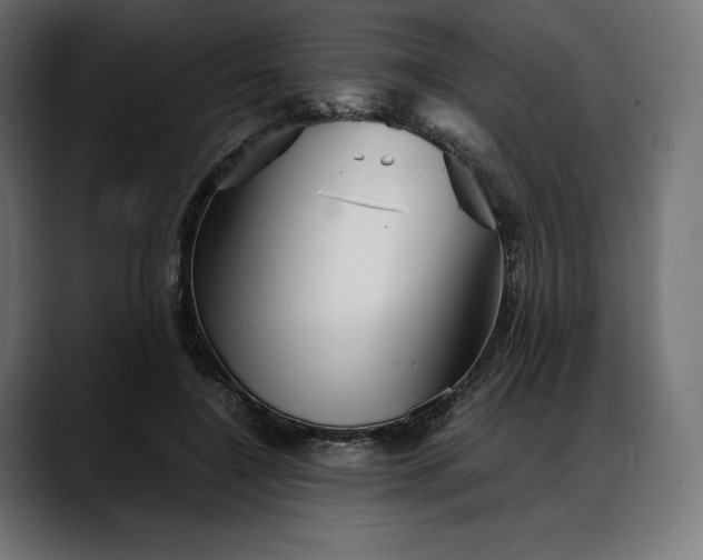 X0000088090548200705251431