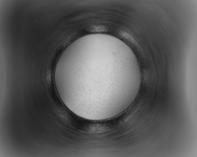 X0000088090549200705251431