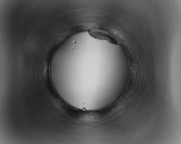 X0000088090550200705251431