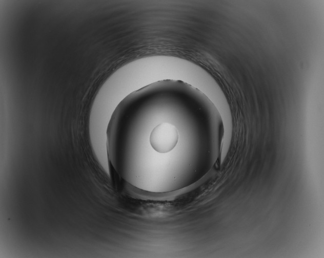 X0000088090552200705251431