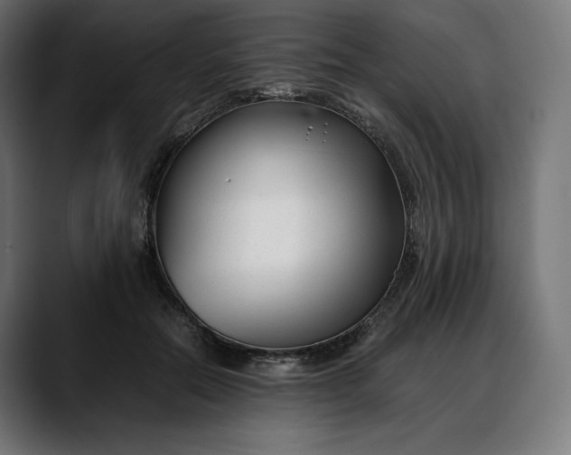 X0000088090554200705251431