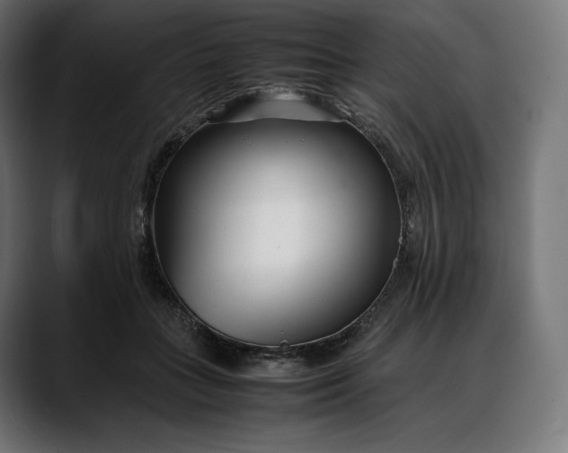 X0000088090555200705251431