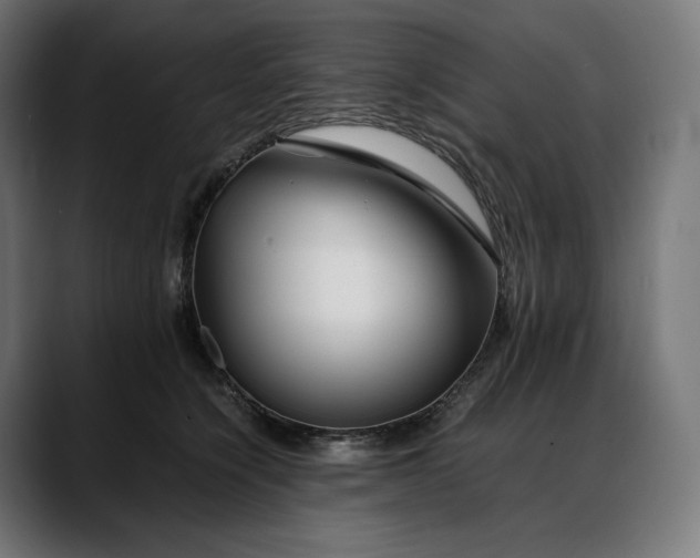 X0000088090564200705251431