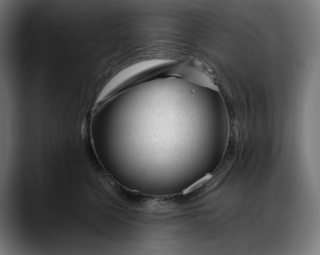 X0000088090568200705251431