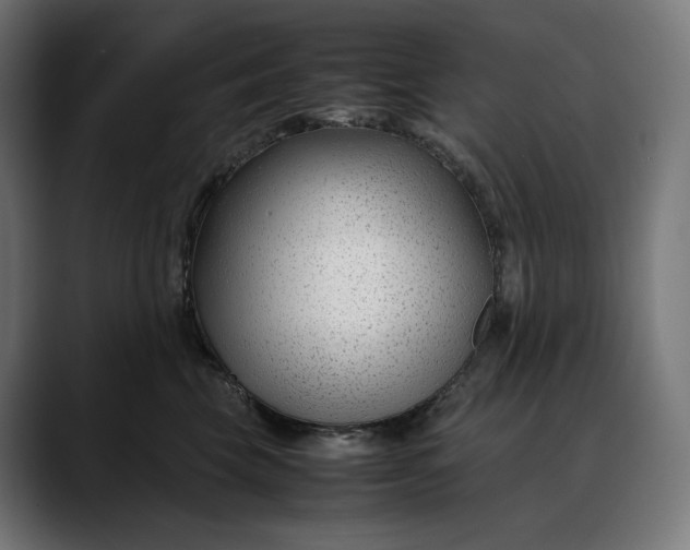 X0000088090569200705251431