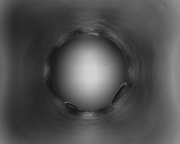 X0000088090574200705251431