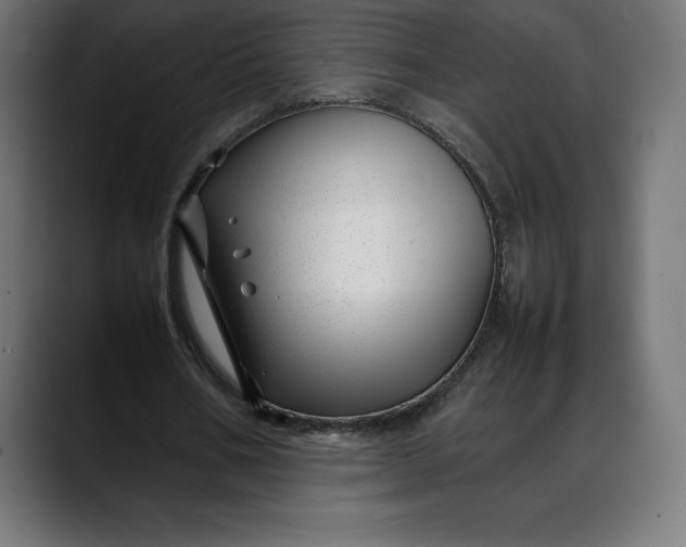 X0000088090578200705251431