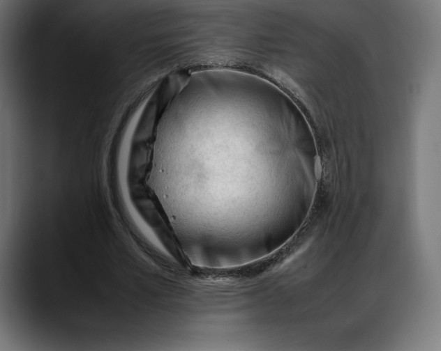 X0000088090581200705251430