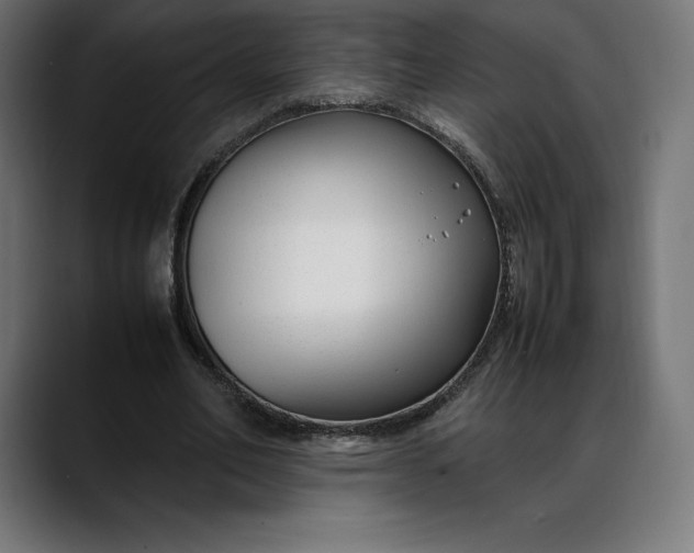 X0000088090582200705251430