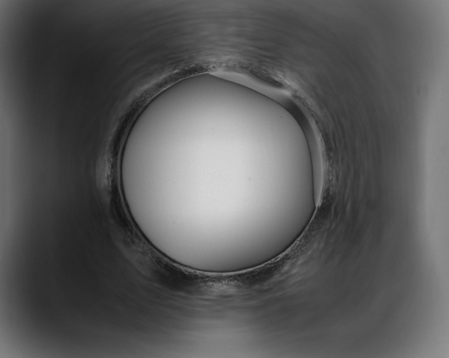 X0000088090583200705251430