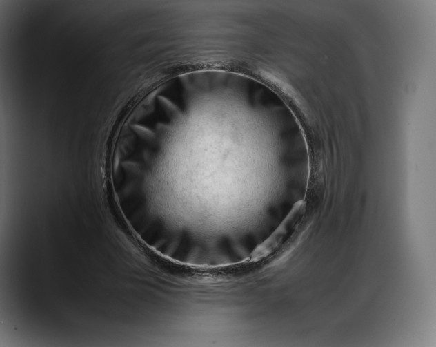 X0000088090585200705251430