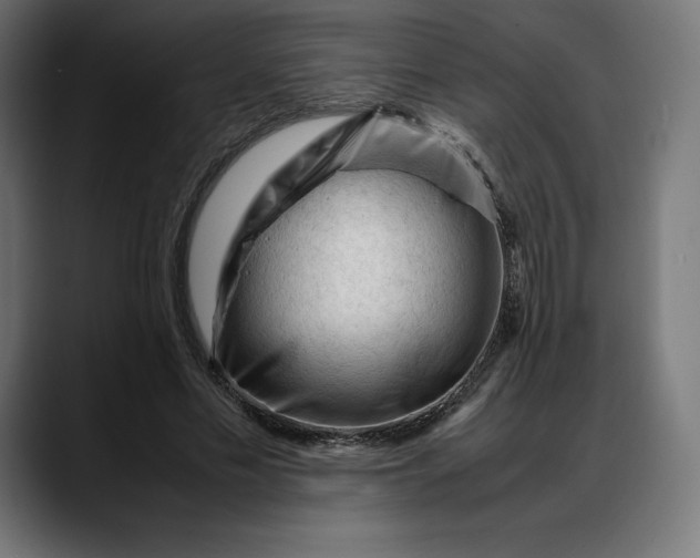 X0000088090589200705251430