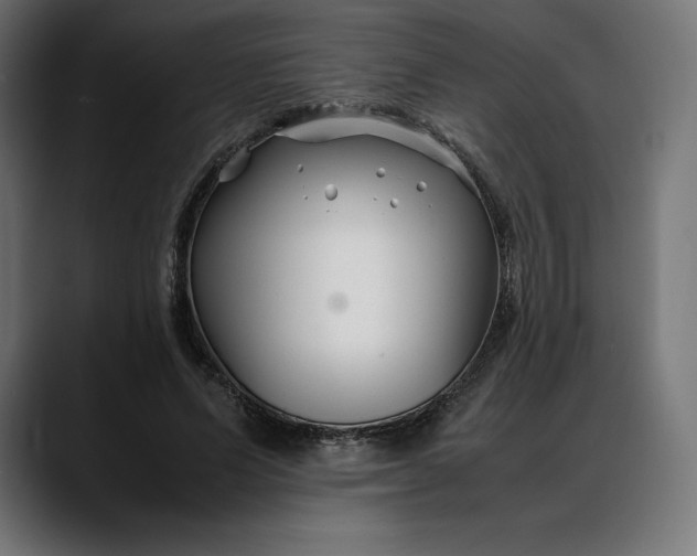 X0000088090591200705251430