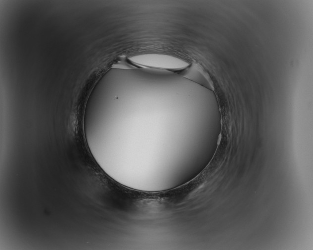 X0000088090595200705251430