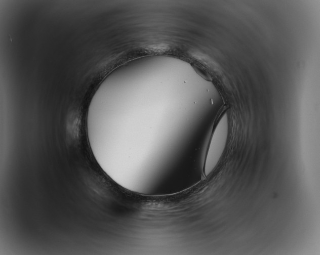 X0000088090596200705251430