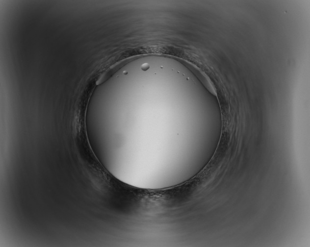 X0000088090599200705251430