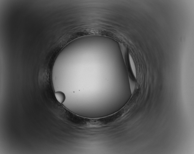 X0000088090603200705251430