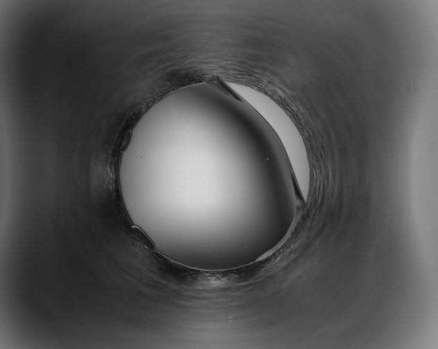 X0000088090613200705251430