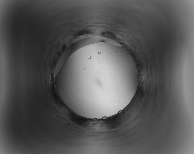 X0000088090615200705251430